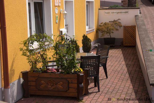 Sonnigesuedeifel Appartement Seffern Buitenkant foto